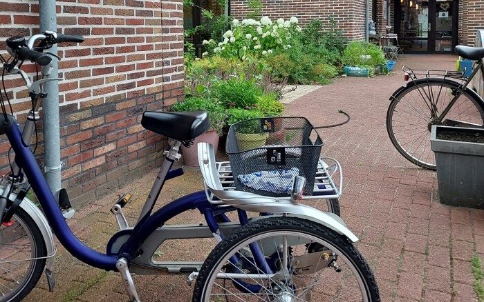 Je ziet een foto van een tuin met een fiets.