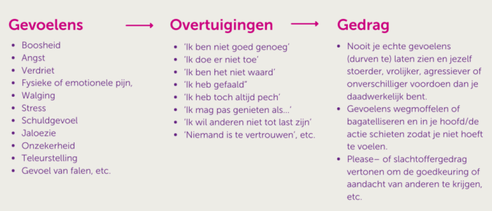 Een schema die gevoelens naar overtuigingen en dan gedrag vertaalt.